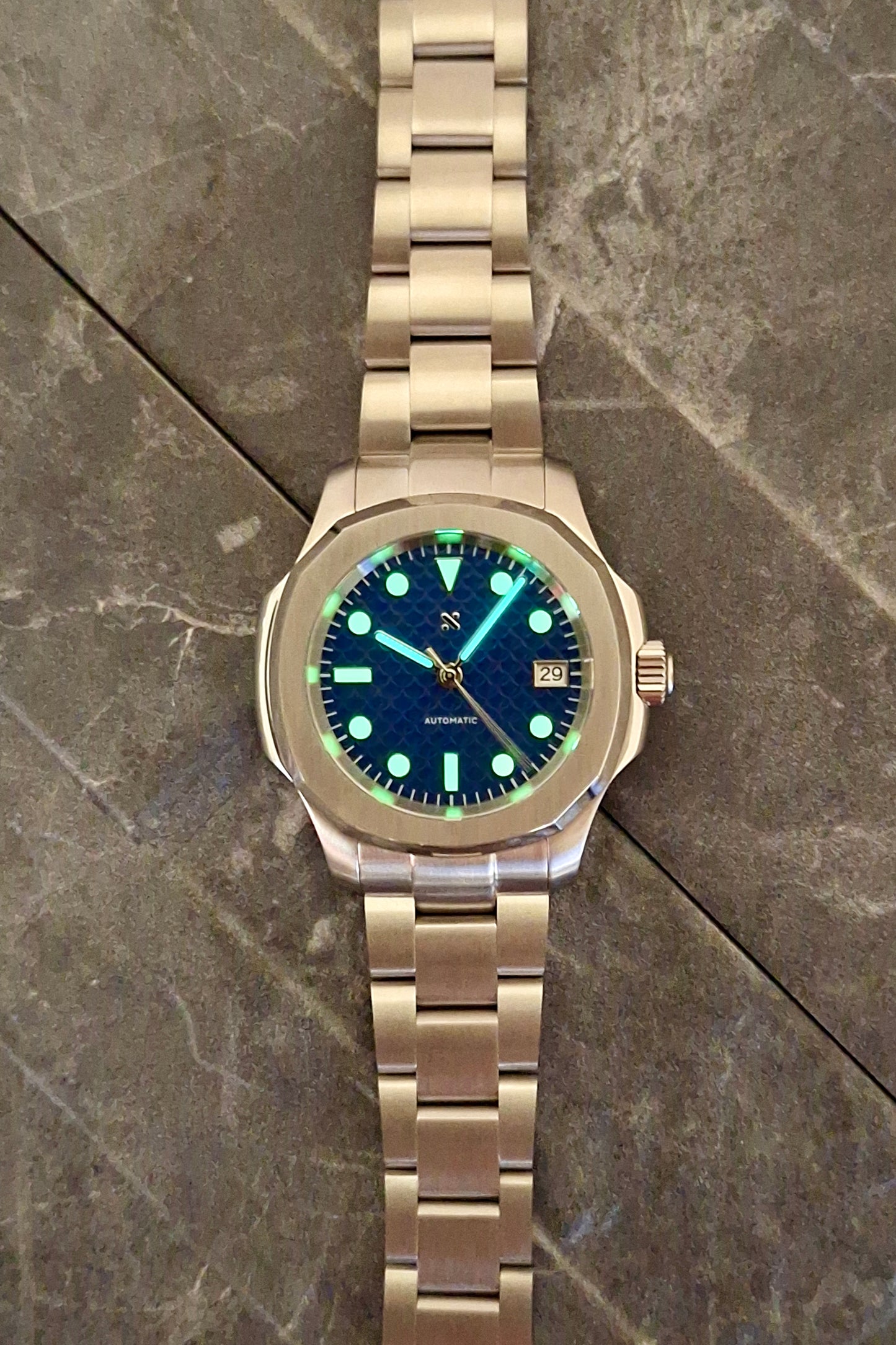 Blue Harmony Nautilus